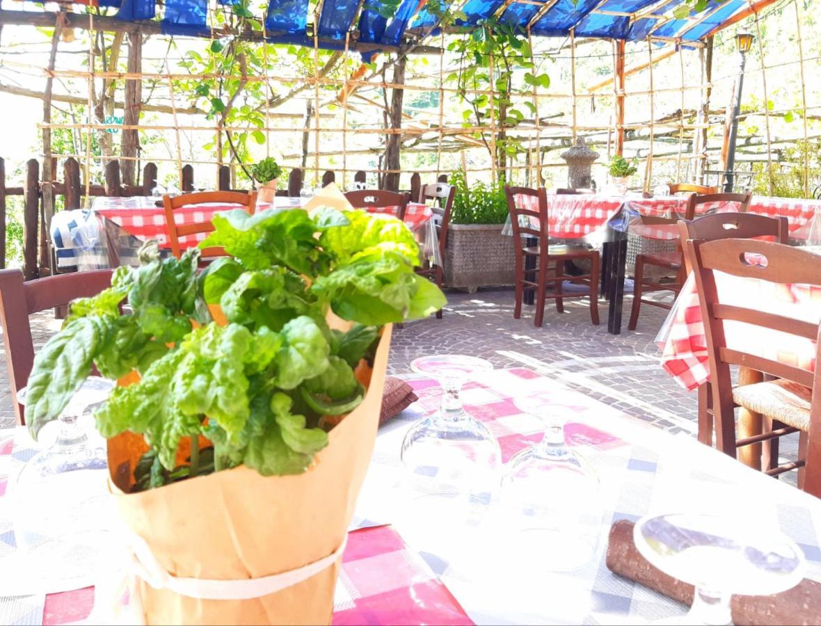 Agriturismo Il Pettirosso Agerola Ngoại thất bức ảnh