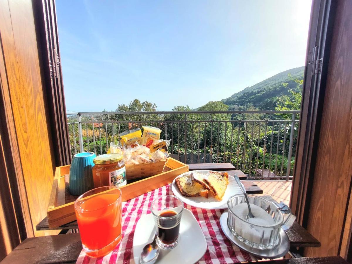 Agriturismo Il Pettirosso Agerola Ngoại thất bức ảnh