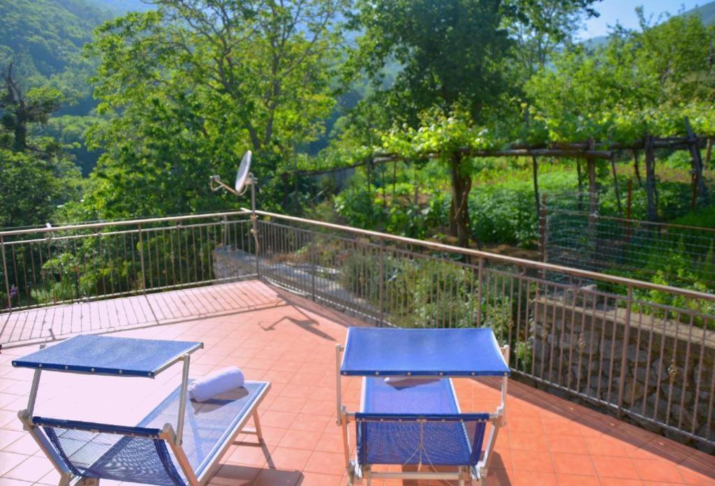 Agriturismo Il Pettirosso Agerola Ngoại thất bức ảnh